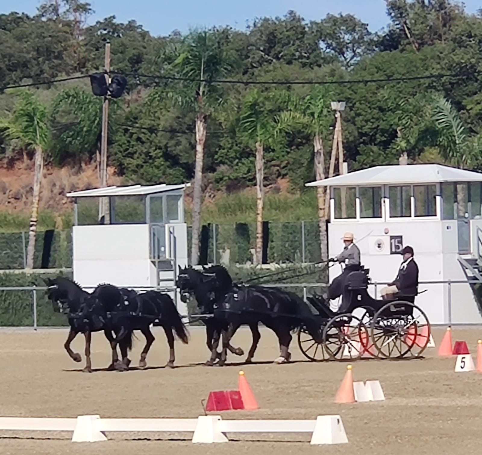 Triple podio navarro en la Copa Iberica FEI de Enganches
